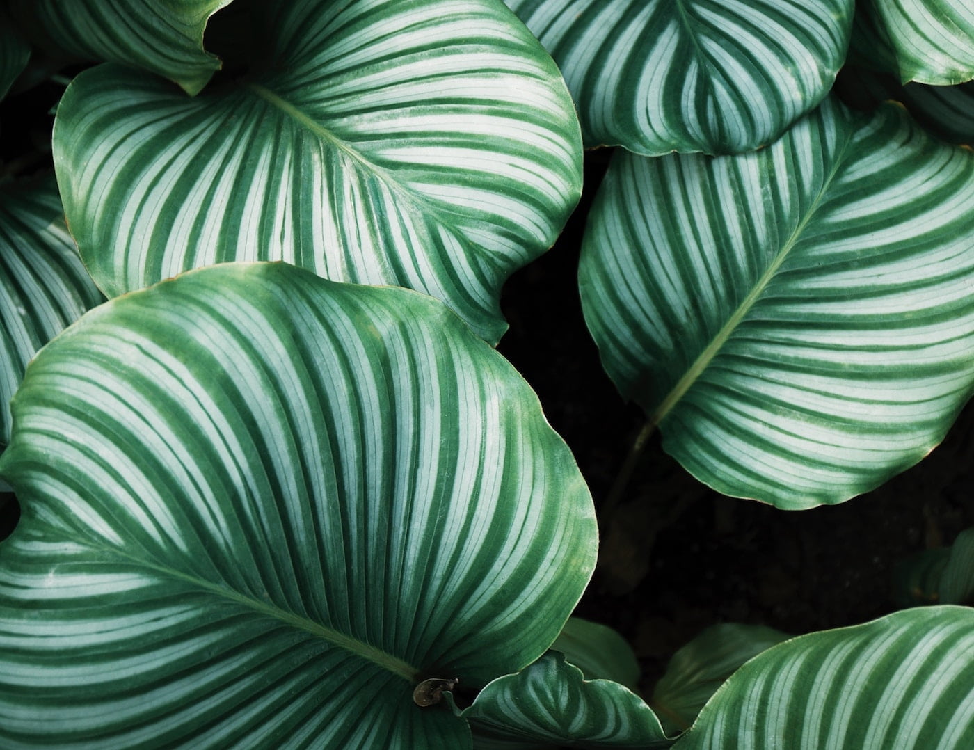 Combating Climate Change - Savings UK Ltd Combating Climate Change - Savings UK Ltd